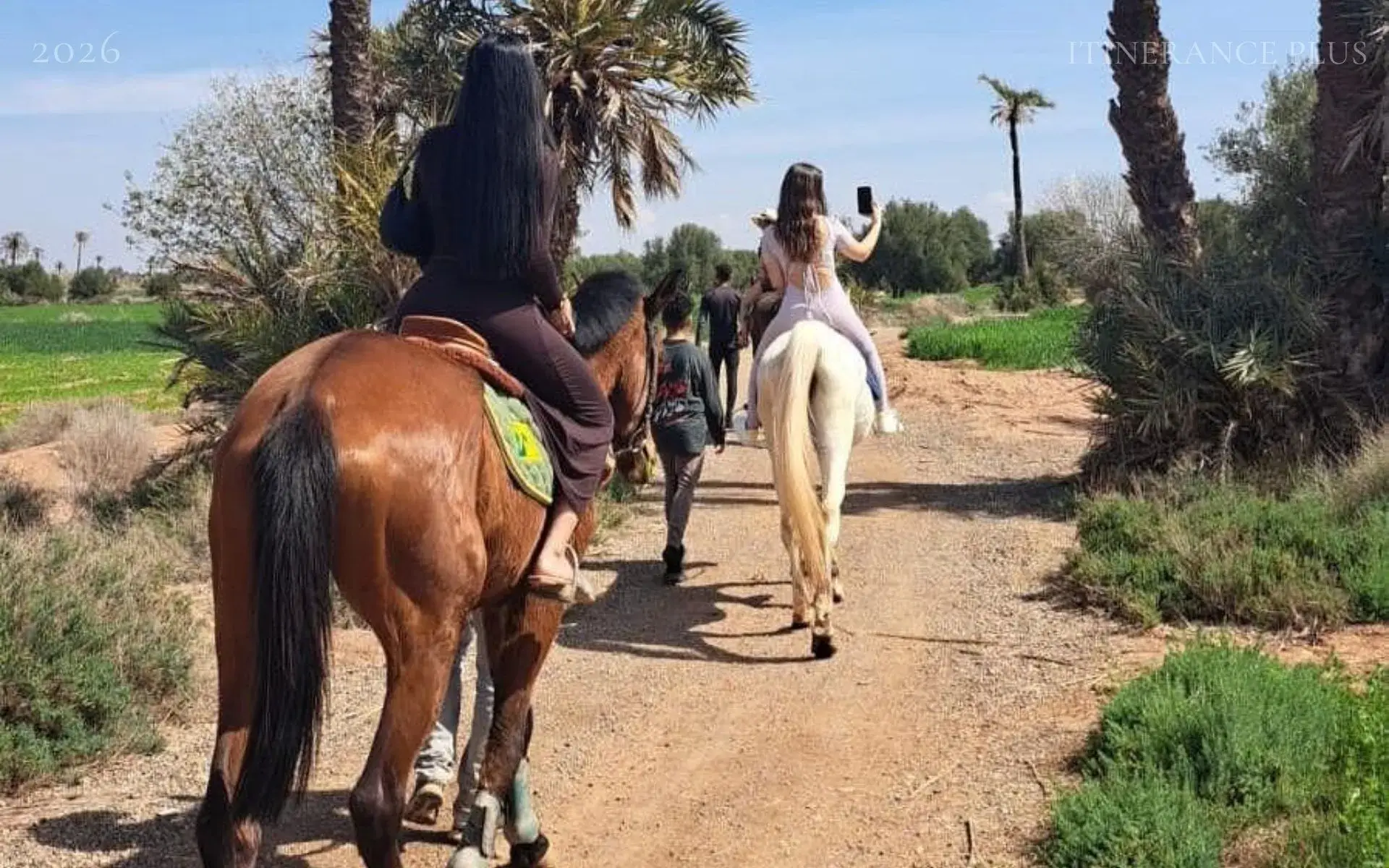 Balade à Cheval Dans la Palmeraie de Marrakech : une Évasion Équestre Intemporelle à Marrakech. au Maroc - excursion premium avec Itinerance Plus
